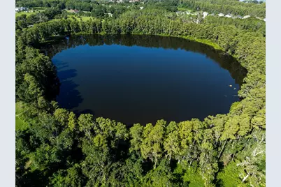 5135 Collier Parkway, Land O Lakes, FL 34639 - Photo 3