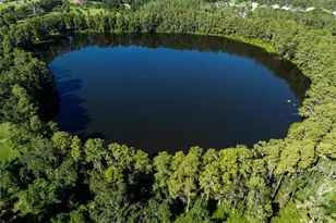 5135 Collier Pkwy, Land O Lakes, FL 34639 - Photo 3