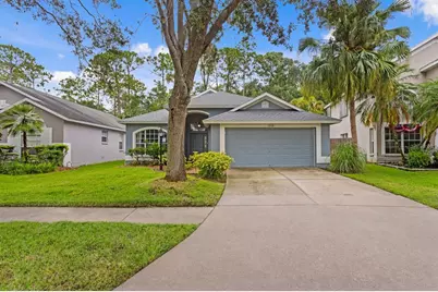 10420 Springrose Drive, Tampa, FL 33626 - Photo 1