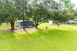 3649 Alice Dr, Wesley Chapel, FL 33543 - Photo 5