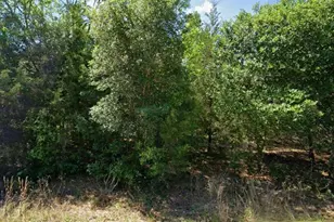 20120 Mariner Blvd, Dunnellon, FL 34431 - Photo 1