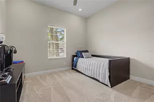 8118 Water Color Dr, Land O Lakes, FL 34638 - Photo 27