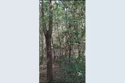 Sw Peacock Drive, Dunnellon, FL 34431 - Photo 13