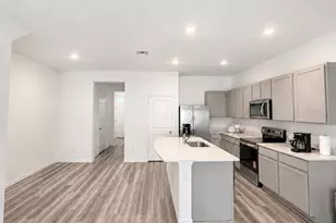 17269 Bigleaf Mahogany Ln, Land O Lakes, FL 34638 - Photo 3