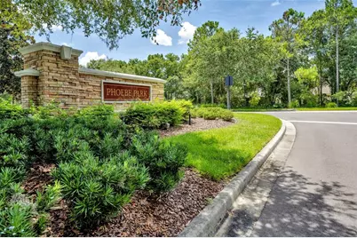 5911 Phoebenest Drive, Lithia, FL 33547 - Photo 53