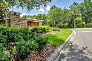 5911 Phoebenest Dr, Lithia, FL 33547 - Photo 53