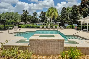 5911 Phoebenest Dr, Lithia, FL 33547 - Photo 47