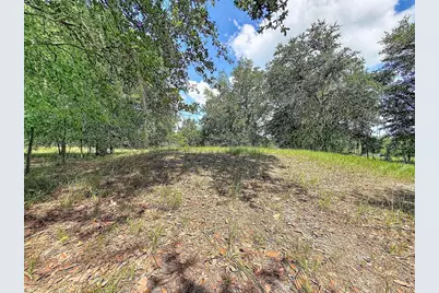 6020 Kelly Road, Plant City, FL 33565 - Photo 23