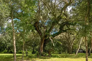 9797 Cr 674, Bushnell, FL 33513 - Photo 59