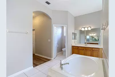 10221 Garden Alcove Drive, Tampa, FL 33647 - Photo 35