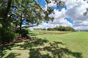 11608 Declaration Dr, Tampa, FL 33635 - Photo 61
