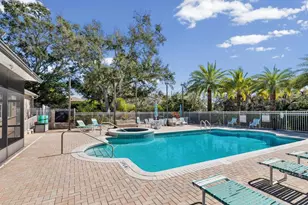 1101 Haley Ln, Dunedin, FL 34698 - Photo 49