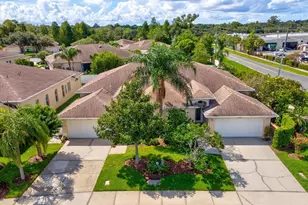 1101 Haley Ln, Dunedin, FL 34698 - Photo 35