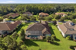 17309 Ladera Estates Blvd, Lutz, FL 33548 - Photo 47