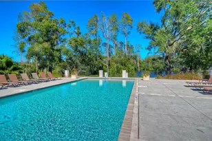 6810 Muncaster Ct, Tampa, FL 33625 - Photo 79