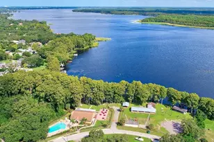 2950 Curling Ct, Palm Harbor, FL 34684 - Photo 33