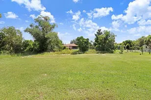 253 Hallmark Ave, Lake Placid, FL 33852 - Photo 27