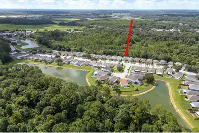 30516 Birdhouse Drive, Wesley Chapel, FL 33545 - Photo 5
