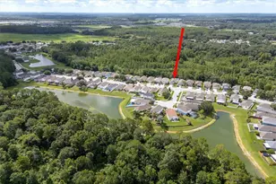 30516 Birdhouse Dr, Wesley Chapel, FL 33545 - Photo 5