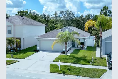 30516 Birdhouse Drive, Wesley Chapel, FL 33545 - Photo 1