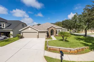 15220 Octavia Ln, Odessa, FL 33556 - Photo 49