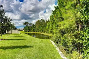 10577 Banyan Breeze Blvd, Land O Lakes, FL 34638 - Photo 37