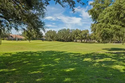 1413 El Pardo Drive, New Port Richey, FL 34655 - Photo 53