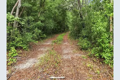 89 S Haid Terrace, Lecanto, FL 34461 - Photo 5