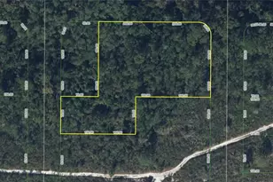 834 Washington Blvd, Lake Placid, FL 33852 - Photo 1