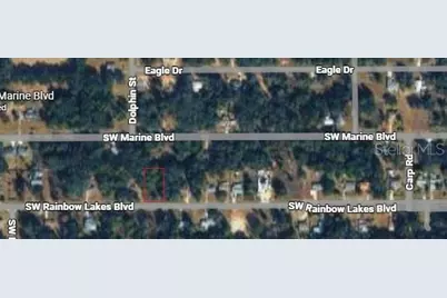 19949 Rainbow Lakes Boulevard, Dunnellon, FL 34431 - Photo 3