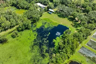 5753 N Dormany Rd, Plant City, FL 33565 - Photo 51