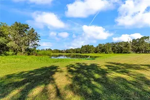 5753 N Dormany Rd, Plant City, FL 33565 - Photo 65