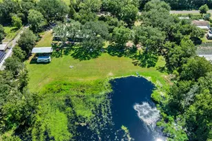 5753 N Dormany Rd, Plant City, FL 33565 - Photo 53