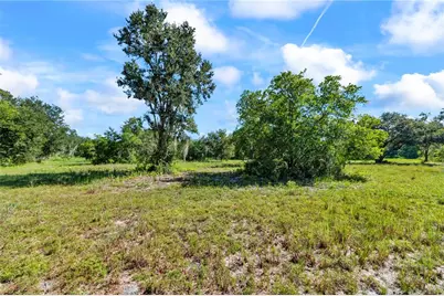 5753 N Dormany Road, Plant City, FL 33565 - Photo 61