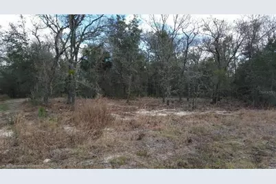 0 SE 88th Ct, Summerfield, FL 34491 - Photo 3