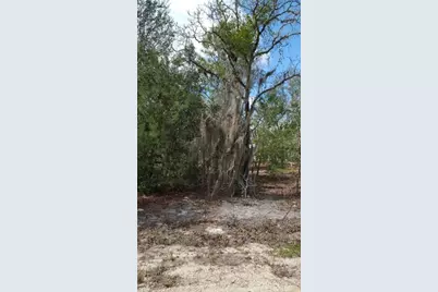 0 SE 88th Ct, Summerfield, FL 34491 - Photo 5