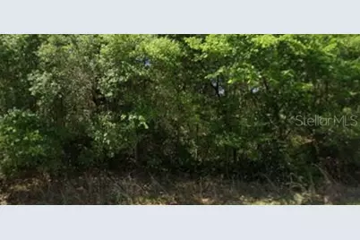 21540 Marine Boulevard, Dunnellon, FL 34431 - Photo 1