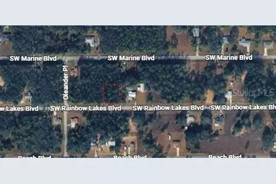 21425 Rainbow Lakes Boulevard, Dunnellon, FL 34431 - Photo 3