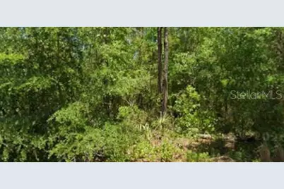 21425 Rainbow Lakes Boulevard, Dunnellon, FL 34431 - Photo 1