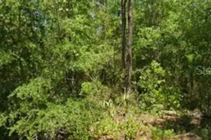 21425 Rainbow Lakes Blvd, Dunnellon, FL 34431 - Photo 1