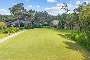 5924 Cherry Oak Dr, Valrico, FL 33596 - Photo 49
