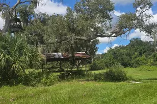 4511 E Keysville Rd, Lithia, FL 33547 - Photo 7