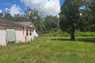 4511 E Keysville Rd, Lithia, FL 33547 - Photo 3