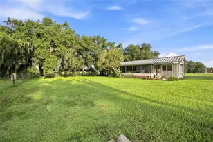 3102 Porter Rd, Lithia, FL 33547 - Photo 31