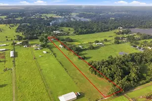 3102 Porter Rd, Lithia, FL 33547 - Photo 47