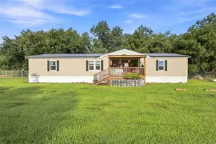 3102 Porter Rd, Lithia, FL 33547 - Photo 3