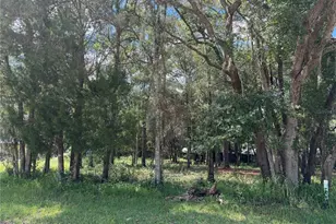 7457 W Turkeyneck Ct, Homosassa, FL 34448 - Photo 3