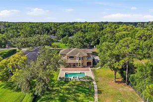 9244 Rhea Dr, Odessa, FL 33556 - Photo 61