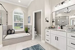23610 Gracewood Cir, Land O Lakes, FL 34639 - Photo 41