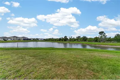 33046 Major Oak Drive, Wesley Chapel, FL 33545 - Photo 21